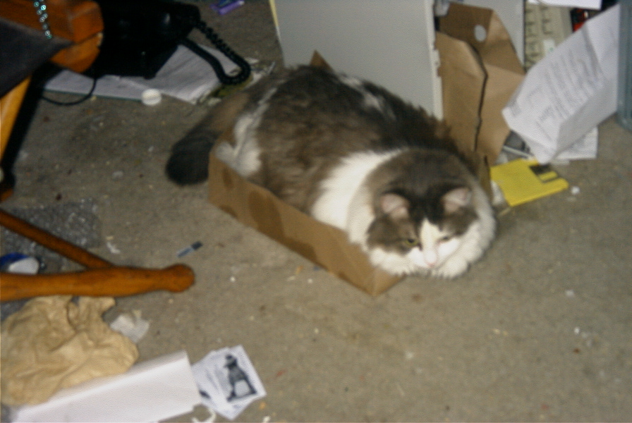 Image 2 of 13  -  252 kB